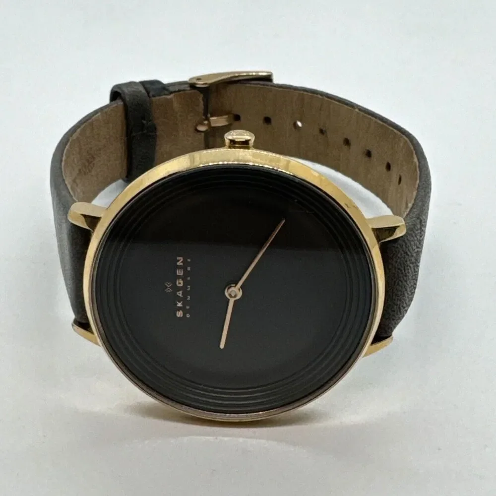 Skagen Ditte SKW2216 Women's Gray Leather Analog Dial Quartz Wrist Watch JNA563